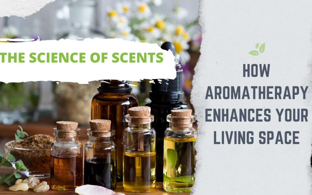 Includes the title of the post for Aromatherapy | Science of Scents and How Aromatherapy Enhances Your Living Space. Also includes images of oils and raw ingredients that set the tone of the blog post