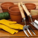 DIY Gardening Kits and Plants Xmas gift